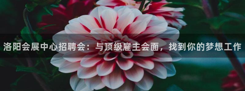 果博公司会员账号开户：洛阳会展中心招聘会：与顶级雇主会面，找到你的梦想工作