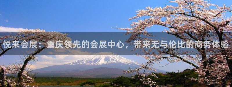 果博注册会员多少钱