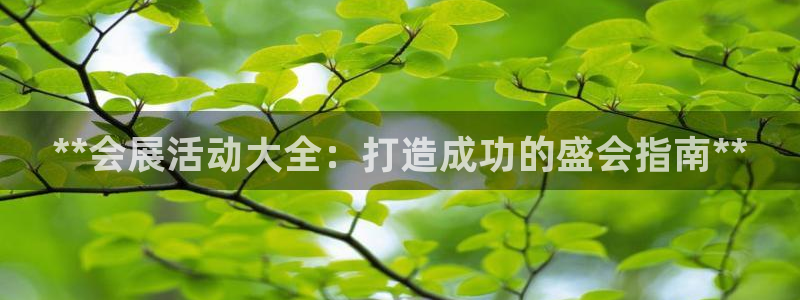 下载果博：**会展活动大全：打造成功的盛