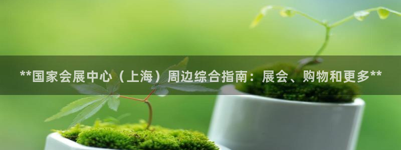 果博平台真实吗安全吗可信吗安全吗：**国家会展中心（上海）周边综合指南：展会、购物和更多**