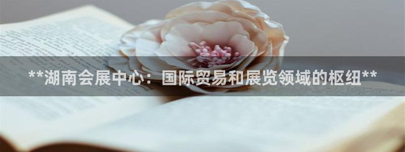 果博手机版官方下载