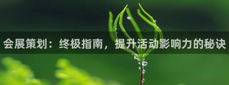 果博公司开户注册：会展策划：终极指南，提升活动影响力的秘诀