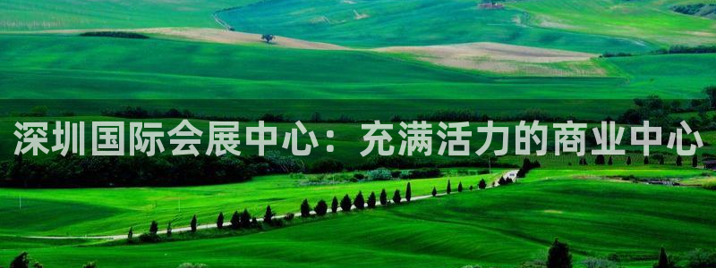 果博官网在银博