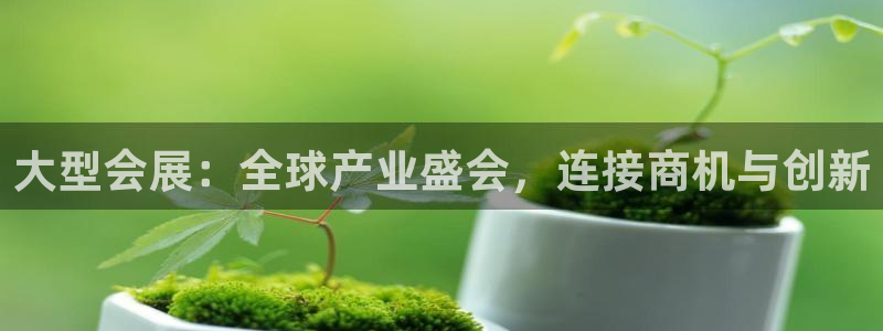 果博官方热线：大型会展：全球产业盛会，连