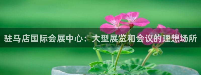 果博公司在线客服：驻马店国际会展中心：大