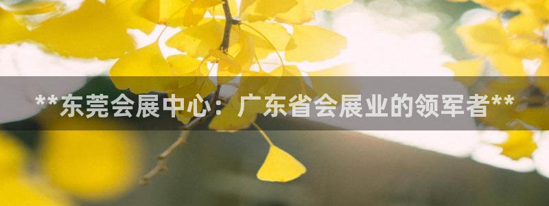 果博园简介：**东莞会展中心：广东省会展业的领军者**