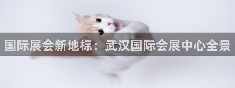 果博公司客服电话