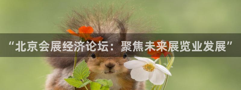 果博怎么注册账号和密码：“北京会展经济论坛：聚焦未来展览业发展”