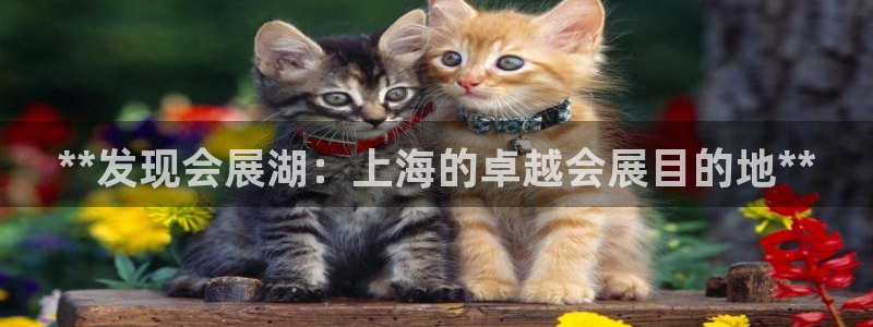果博公司在线客服：**发现会展湖：上海的