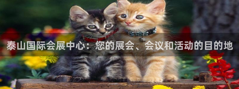 果博客服微信是多少
