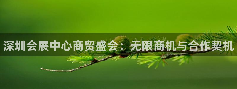 果博公司开户热线：深圳会展中心商贸盛会：无限商机与合作契机