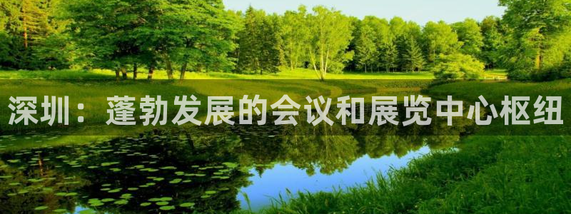 果博注册平台怎么注册的：深圳：蓬勃发展的