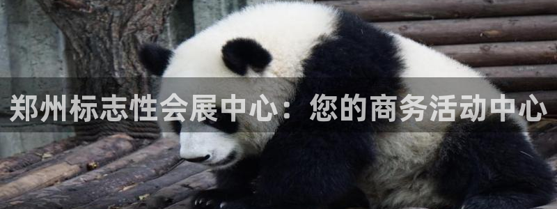 果博注册客服电话是多少号：郑州标志性会展中心：您的商务活动中心