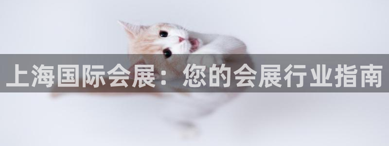 果博上分电话：上海国际会展：您的会展行业指南