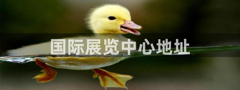 果博注册客服电话是多少号码：国际展览中心地址