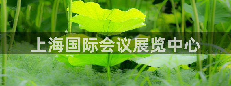果博公司游戏网址：上海国际会议展览中心
