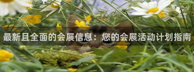 果博公司：最新且全面的会展信息：您的会展活动计划指南
