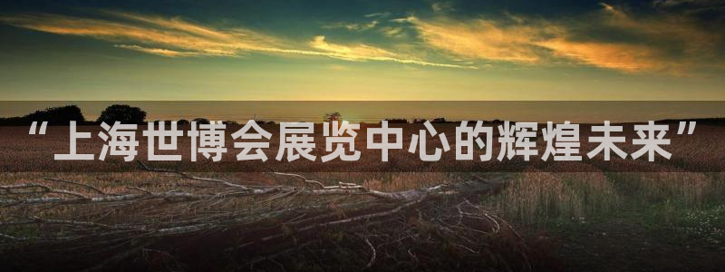 果博公司客服电话多少：“上海世博会展览中心的辉煌未来”