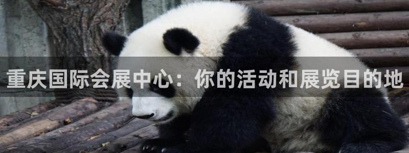 果博平台链接