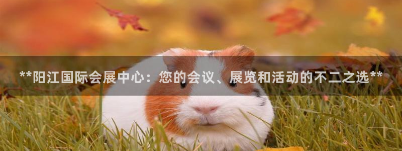 果博公司会员账号开户：**阳江国际会展中心：您的会议、展览和活动的不二之选**