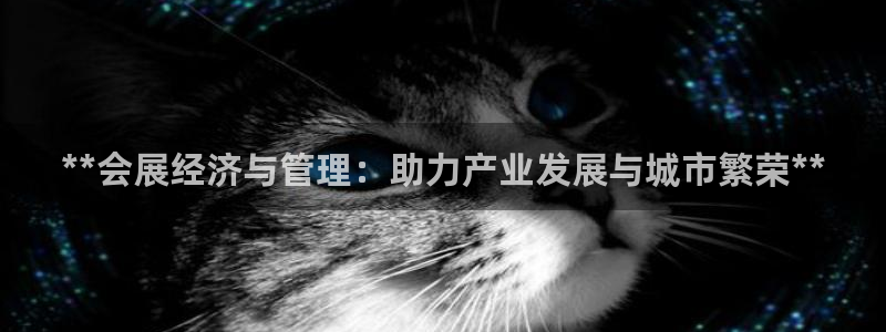 果博公司注册：**会展经济与管理：助力产