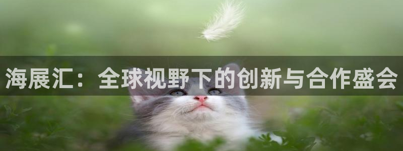 果博官方热线：海展汇：全球视野下的创新与合作盛会