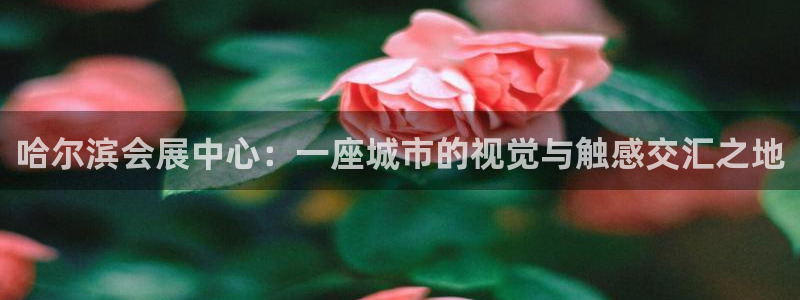 下载果博app：哈尔滨会展中心：一座城市