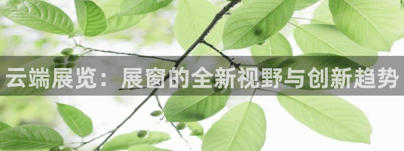 果博公司电话：云端展览：展窗的全新视野与创新趋势