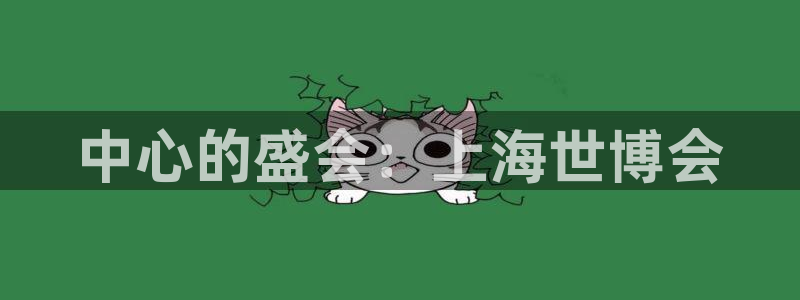 果博怎么注册账号：中心的盛会：上海世博会