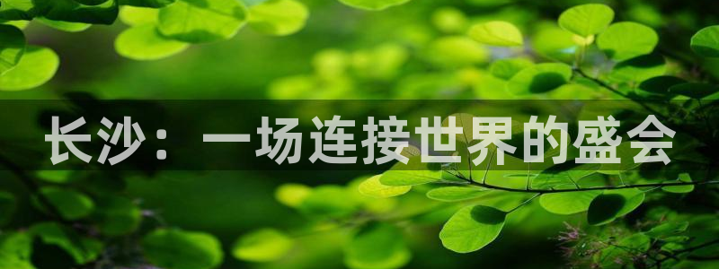 果博公司怎么开户：长沙：一场连接世界的盛会
