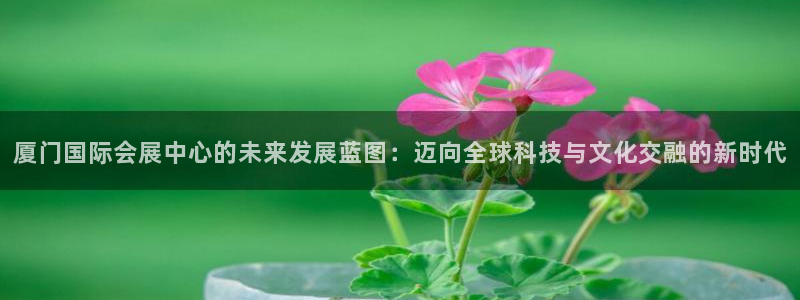 果博手机版下载：厦门国际会展中心的未来发展蓝图：迈向全球科技与文化交融的新时代