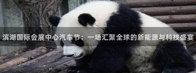 果博平台真实吗：滨湖国际会展中心汽车节：