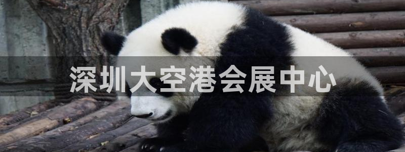 果博公司客服联系方式：深圳大空港会展中心