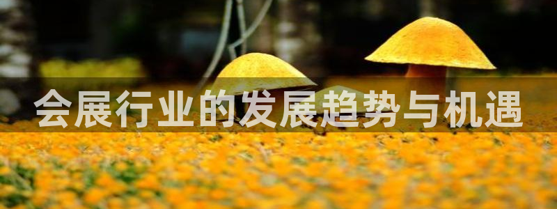 果博公司会员账号开户：会展行业的发展趋势