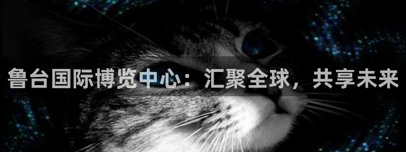 果博公司会员注册账号：鲁台国际博览中心：