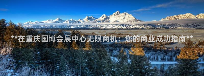 果博公司网站：**在重庆国博会展中心无限商机：您的