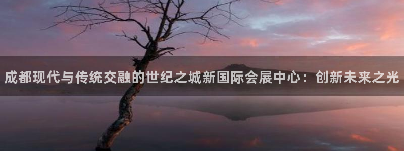 果博公司开户：成都现代与传统交融的世纪之