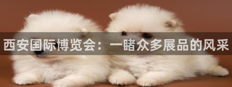 果博官网客服电话号码查询：西安国际博览会