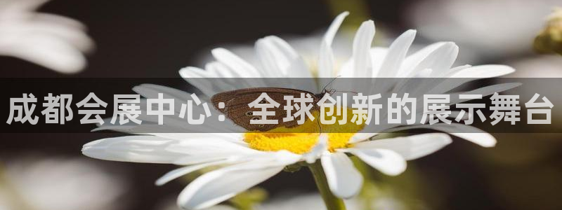 果博有假吗：成都会展中心：全球创新的展示