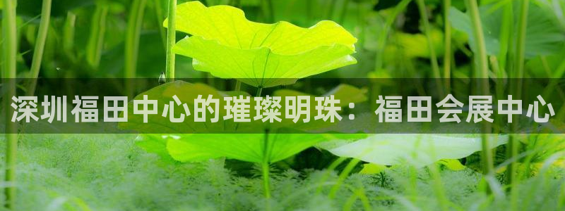 果博公司客服微信怎么加