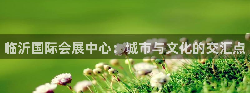 果博公司上分客服：临沂国际会展中心：城市
