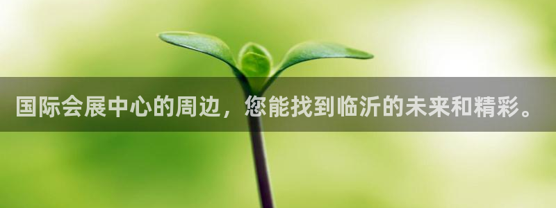 果博电话：国际会展中心的周边，您能找到临