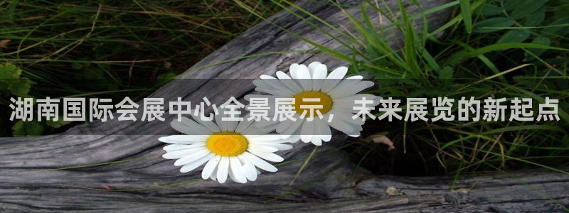 果博平台开户电话是多少：湖南国际会展中心全景展示，