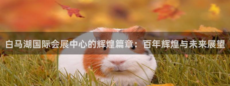 下载果博博东方下载：白马湖国际会展中心的辉煌篇章：百年辉煌与未来展望