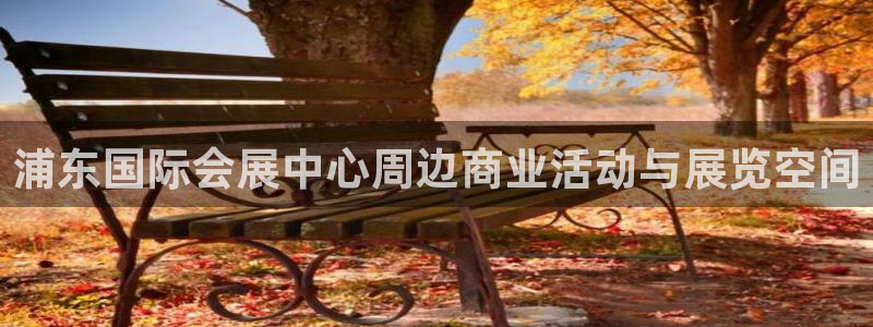 果博公司会员怎么开户：浦东国际会展中心周边商业活动与展览空间