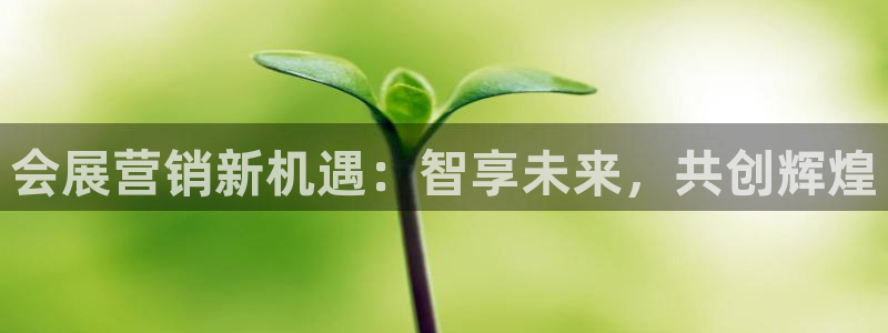 果博管理网：会展营销新机遇：智享未来，共创辉煌