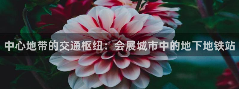 果博公司联系方式