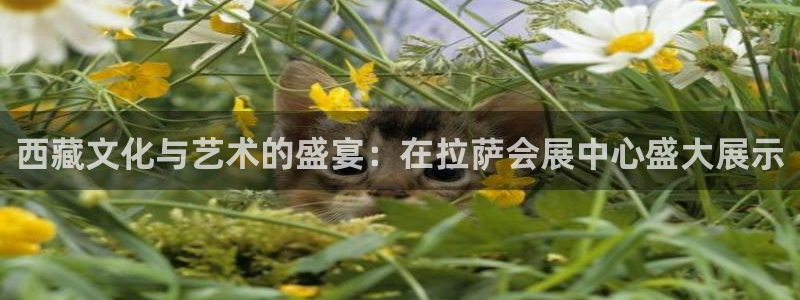 果博注册客服电话号码查询：西藏文化与艺术的盛宴：在