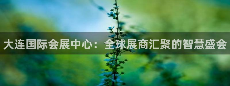 果博公司会员注册：大连国际会展中心：全球展商汇聚的智慧盛会