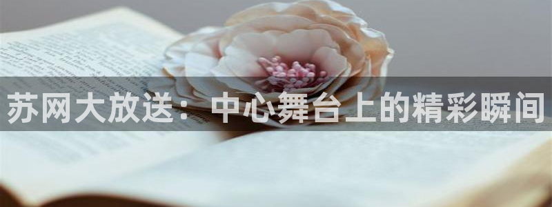果博环保公司：苏网大放送：中心舞台上的精